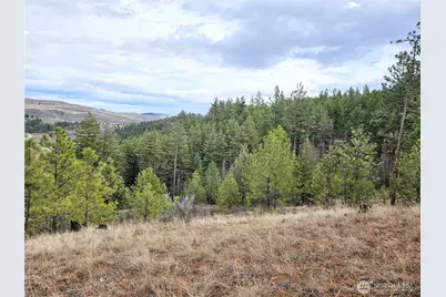 315 W Corral Drive, Oroville, WA 98844 - Photo 4