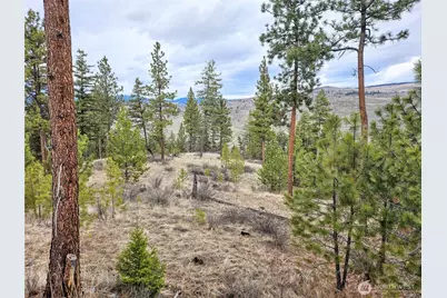 315 W Corral Drive, Oroville, WA 98844 - Photo 2