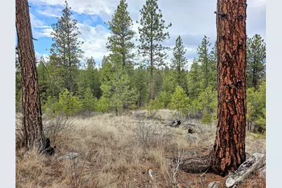 315 W Corral Drive, Oroville, WA 98844 - Photo 6