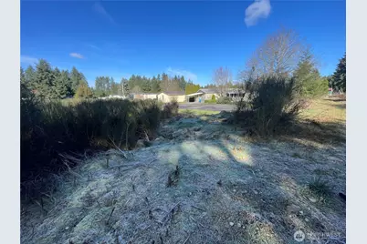 0 222nd Street E, Graham, WA 98338 - Photo 10