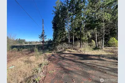 0 222nd Street E, Graham, WA 98338 - Photo 6