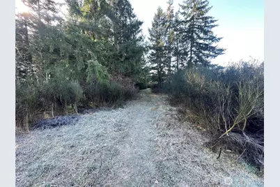 0 222nd Street E, Graham, WA 98338 - Photo 8