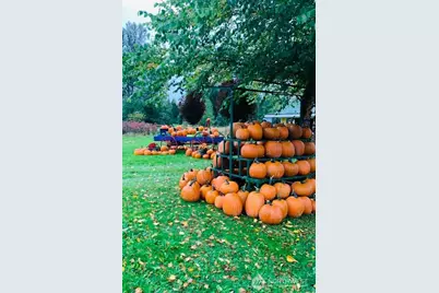 5628 Grandview Road, Arlington, WA 98223 - Photo 34