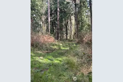 0 Xxx Hellman Road, Clinton, WA 98236 - Photo 12