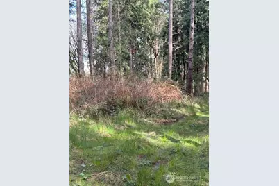 0 Xxx Hellman Road, Clinton, WA 98236 - Photo 6