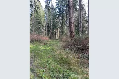 0 Xxx Hellman Road, Clinton, WA 98236 - Photo 8