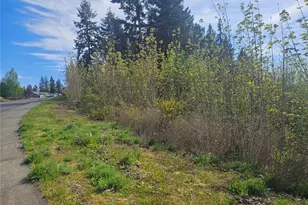699 Myers St SE, Rainier, WA 98576 - Photo 34