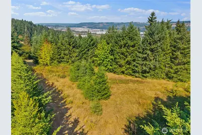 4812 131st Avenue Ct E, Edgewood, WA 98446 - Photo 10