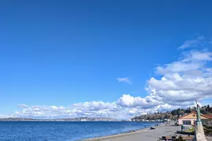 1156 Alki Ave SW, Seattle, WA 98116 - Photo 38