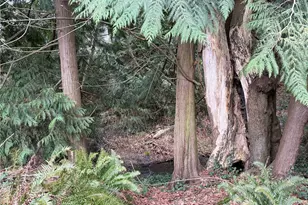 1200 N 12th Pl, Mount Vernon, WA 98273 - Photo 20