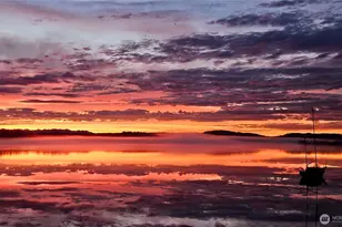 11262 Riviera Pl NE, Seattle, WA 98125 - Photo 30