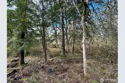 35208 88th Avenue, McKenna, WA 98558 - Photo 2