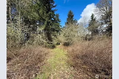 35208 88th Avenue, McKenna, WA 98558 - Photo 24