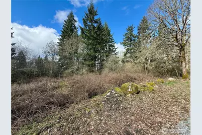 35208 88th Avenue, McKenna, WA 98558 - Photo 18