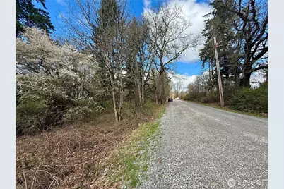 35208 88th Avenue, McKenna, WA 98558 - Photo 28