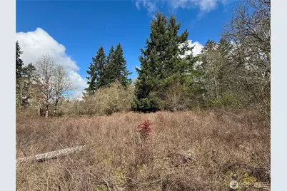 35208 88th Avenue, McKenna, WA 98558 - Photo 12