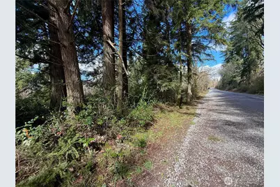 35208 88th Avenue, McKenna, WA 98558 - Photo 30