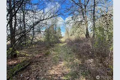 35208 88th Avenue, McKenna, WA 98558 - Photo 20