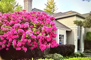 24504 SE 42nd Pl, Sammamish, WA 98029 - Photo 2