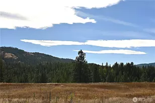 81 Rose Valley Rd, Republic, WA 99166 - Photo 34