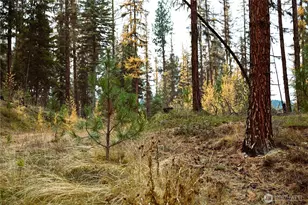 81 Rose Valley Rd, Republic, WA 99166 - Photo 20