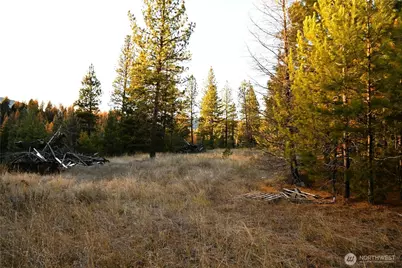 81 Rose Valley Rd, Republic, WA 99166 - Photo 30