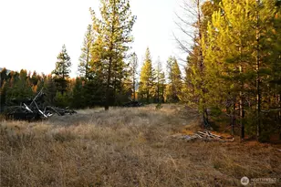 81 Rose Valley Rd, Republic, WA 99166 - Photo 30