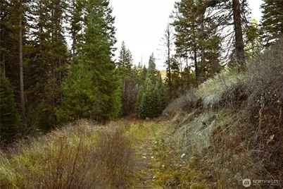 81 Rose Valley Rd, Republic, WA 99166 - Photo 26