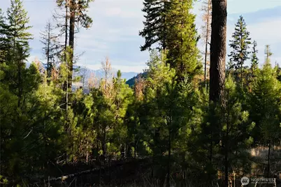 81 Rose Valley Rd, Republic, WA 99166 - Photo 18