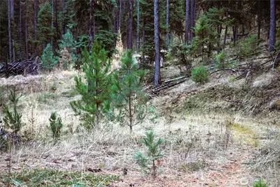 81 Rose Valley Rd, Republic, WA 99166 - Photo 24