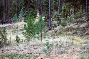 81 Rose Valley Rd, Republic, WA 99166 - Photo 24