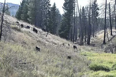 81 Rose Valley Rd, Republic, WA 99166 - Photo 32