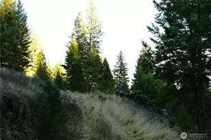 81 Rose Valley Rd, Republic, WA 99166 - Photo 28