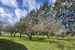 272 Grandview Dr, Sequim, WA 98382 - Photo 36