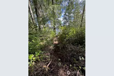 1961 E Trails End Drive, Belfair, WA 98528 - Photo 1