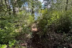 1961 E Trails End Dr, Belfair, WA 98528 - Photo 1