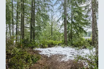 1961 E Trails End Drive, Belfair, WA 98528 - Photo 12