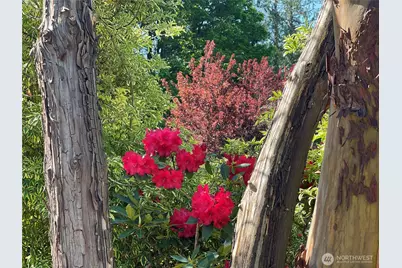 1988 Cascade View Drive, Camano Island, WA 98282 - Photo 22