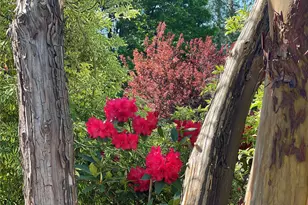 1988 Cascade View Dr, Camano Island, WA 98282 - Photo 22