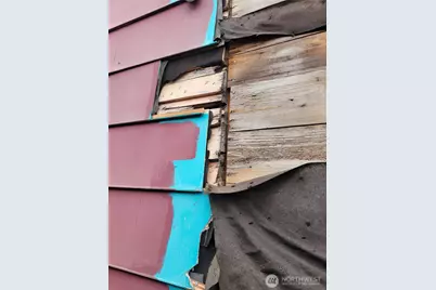 1111 NE 80th Street, Seattle, WA 98115 - Photo 6