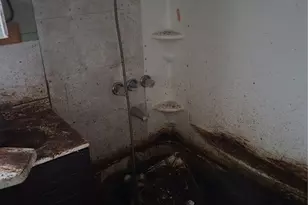 1111 NE 80th St, Seattle, WA 98115 - Photo 28