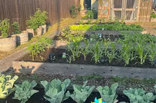 713 N Tower Ave, Centralia, WA 98531 - Photo 18