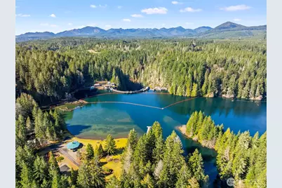 132 N Kokanee Cove Way, Hoodsport, WA 98548 - Photo 38