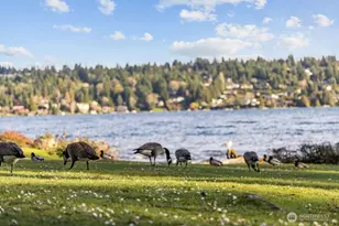 8411 48th Ave S, Seattle, WA 98118 - Photo 32