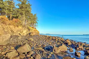 285 Raptor Rd, Orcas Island, WA 98245 - Photo 38