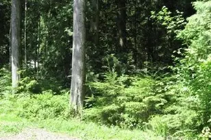 148 Polo Park Dr, Bellingham, WA 98229 - Photo 1