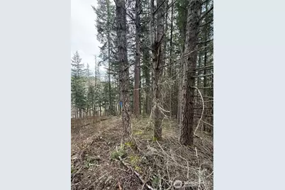 53007 128th Avenue E, Eatonville, WA 98328 - Photo 2