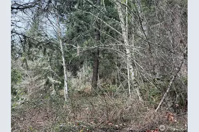 53007 128th Avenue E, Eatonville, WA 98328 - Photo 16
