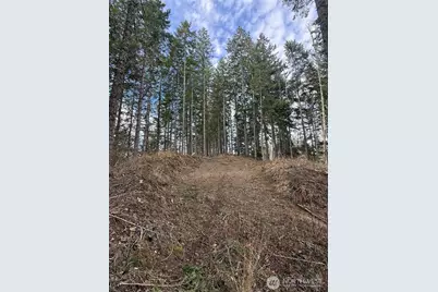 53007 128th Avenue E, Eatonville, WA 98328 - Photo 8
