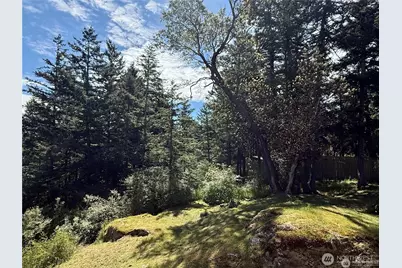 168 Jackson Road, Orcas Island, WA 98245 - Photo 40